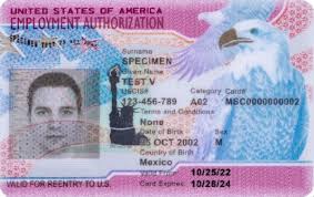 Buy Work Permit